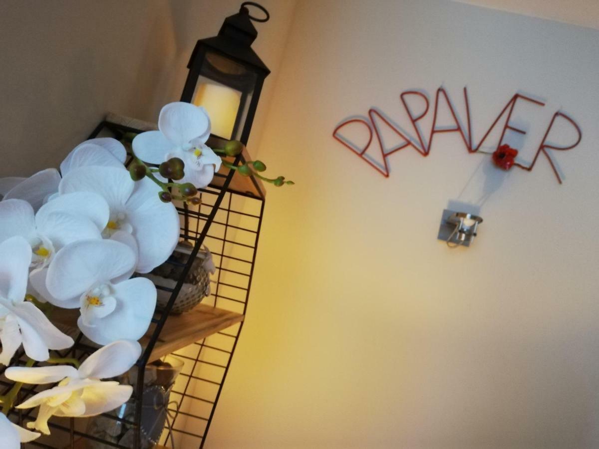 Papaver Apartament Zielona Góra Zewnętrze zdjęcie